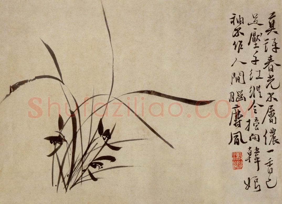  徐渭 《杂花卷》 书画作品
