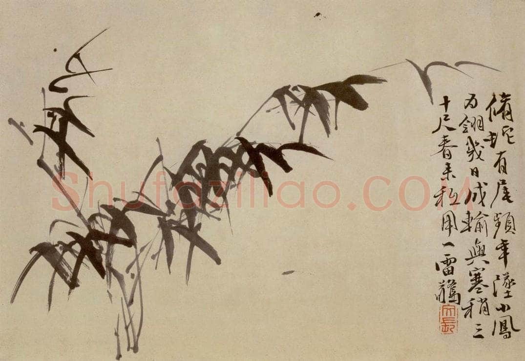 徐渭 《杂花卷》 书画作品