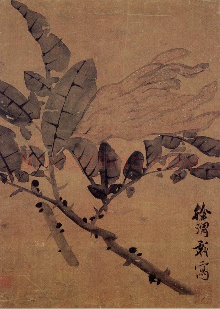  徐渭 《佛手图》 书画作品