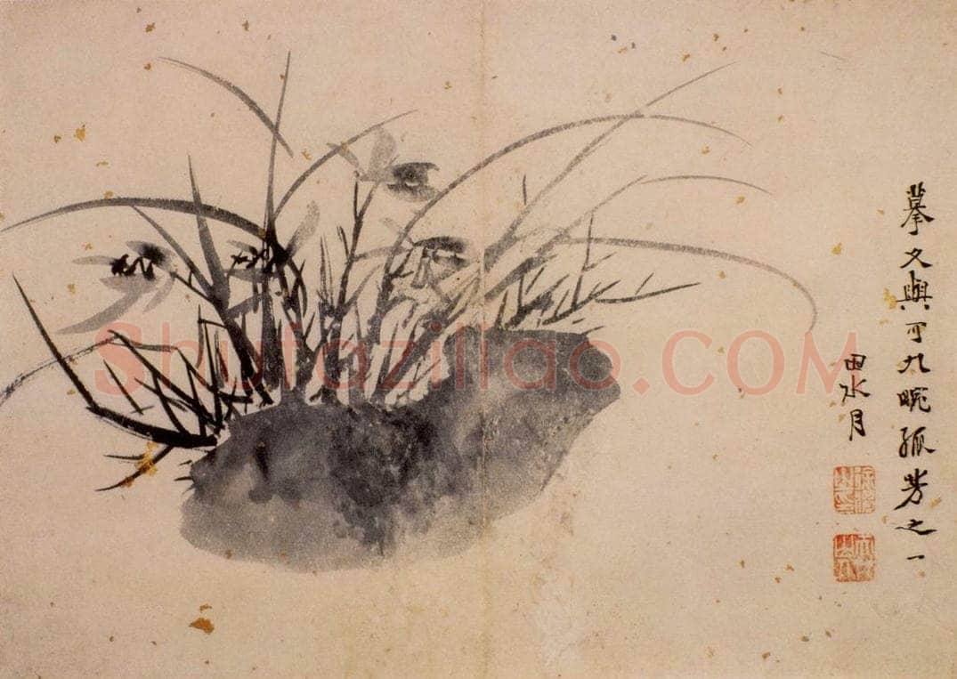  徐渭 《花卉图册》 书画作品