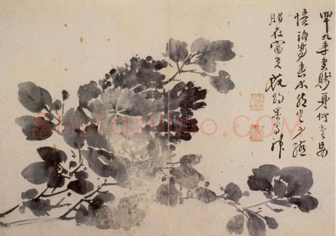 徐渭 《花卉图册》 书画作品