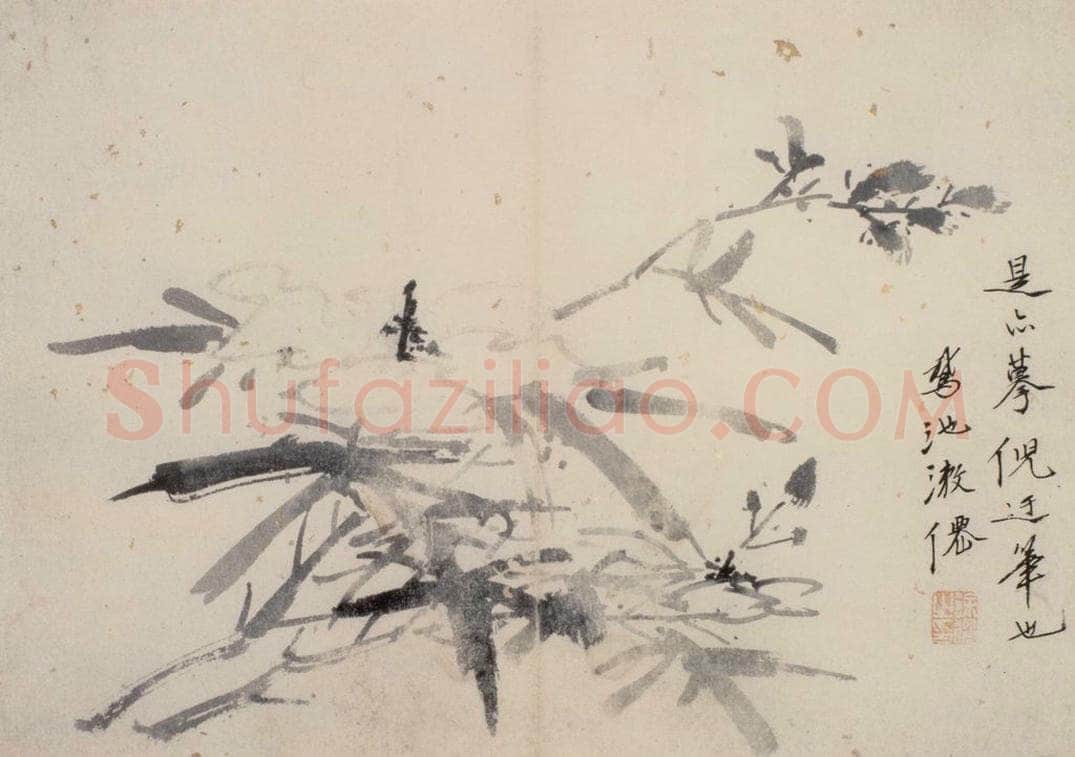  徐渭 《花卉图册》 书画作品