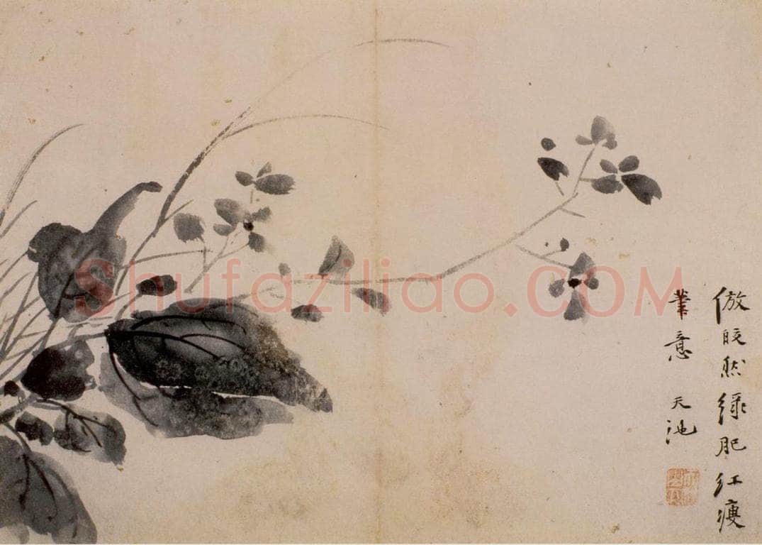  徐渭 《花卉图册》 书画作品