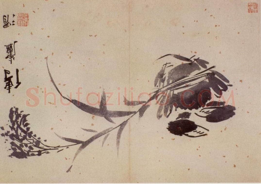  徐渭 《花卉图册》 书画作品
