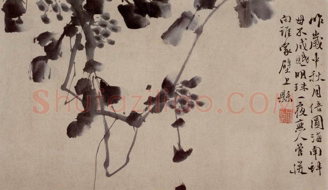 徐渭 《杂花卷》 书画作品