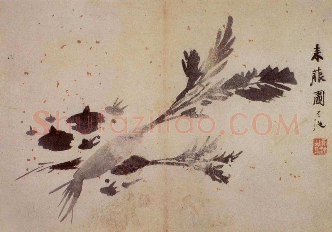 徐渭 《花卉图册》 书画作品
