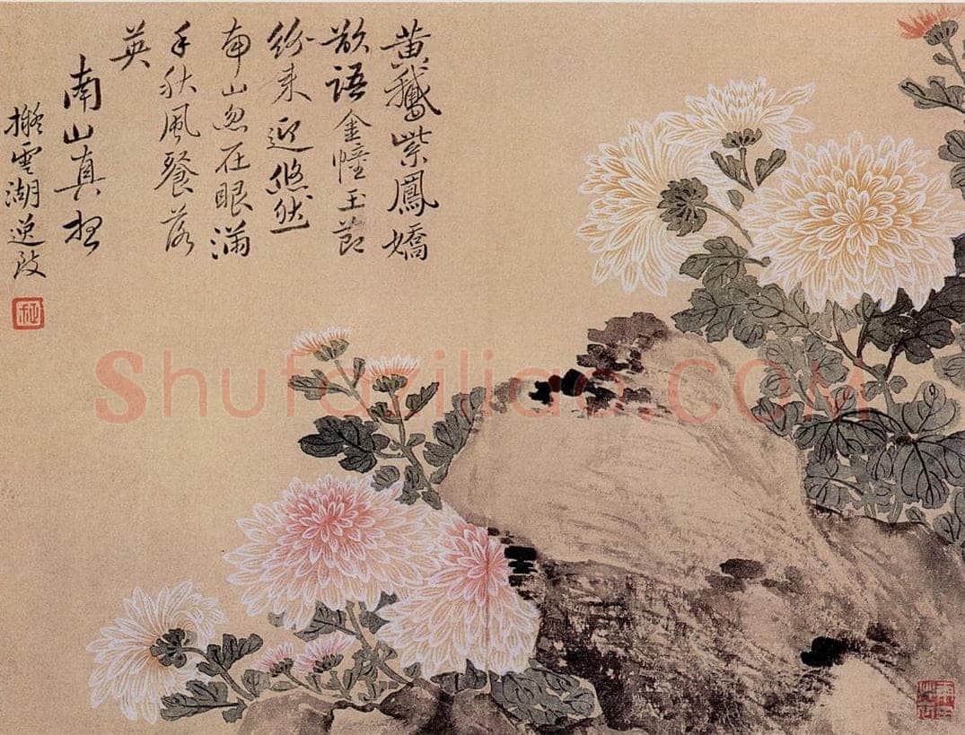 清 恽寿平 《写生花卉竹石图册》 书画作品