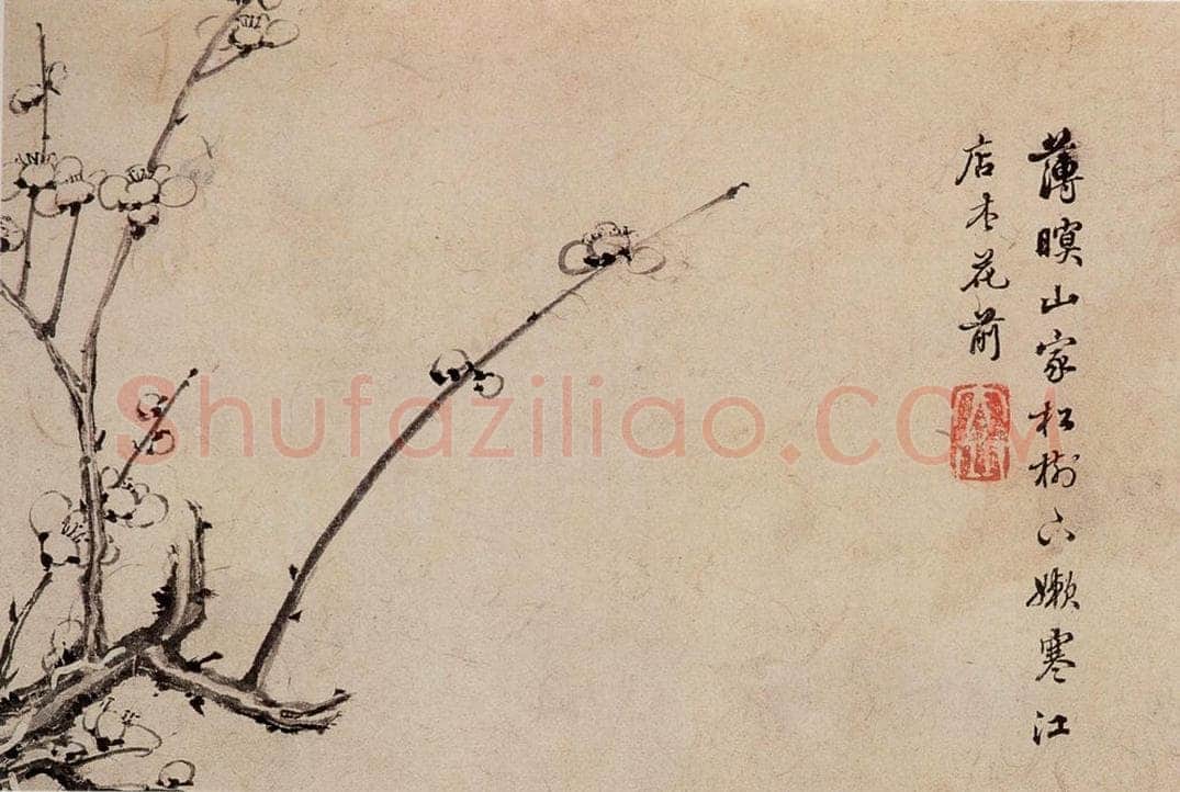 清 高简、张照 《梅花图册》 书画作品