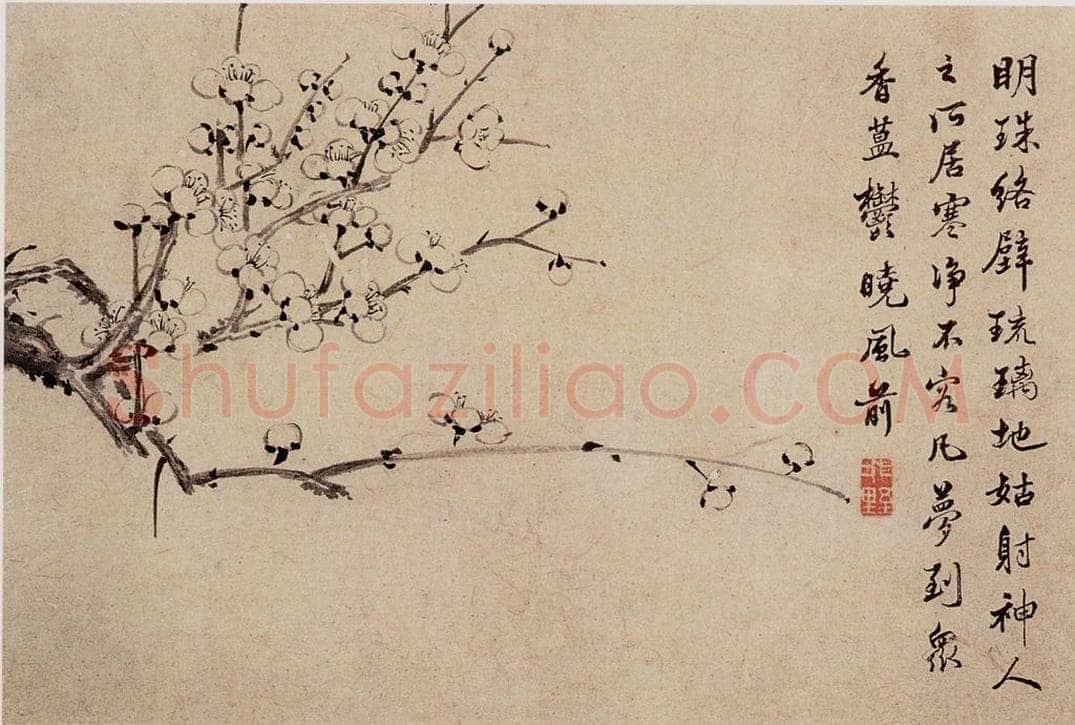 清 高简、张照 《梅花图册》 书画作品