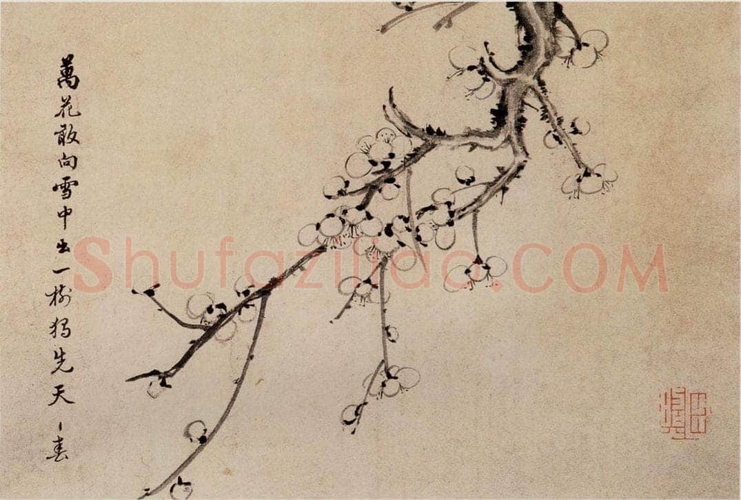 清 高简、张照 《梅花图册》 书画作品