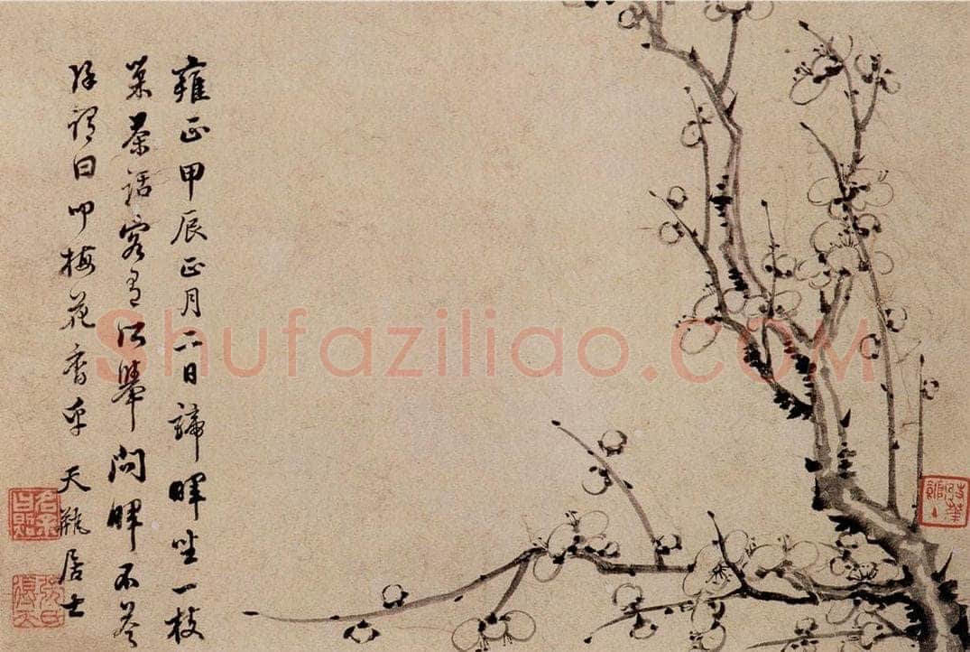 清 高简、张照 《梅花图册》 书画作品