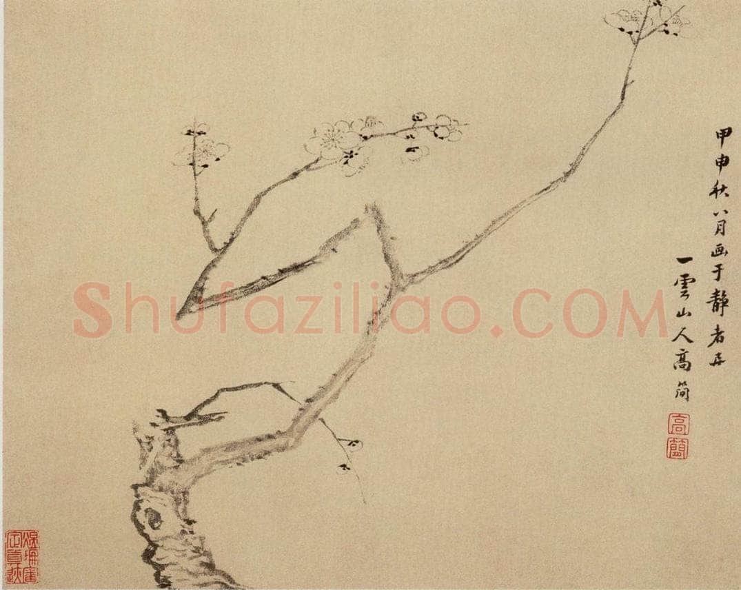 清 高简、张照 《梅花图册》 书画作品