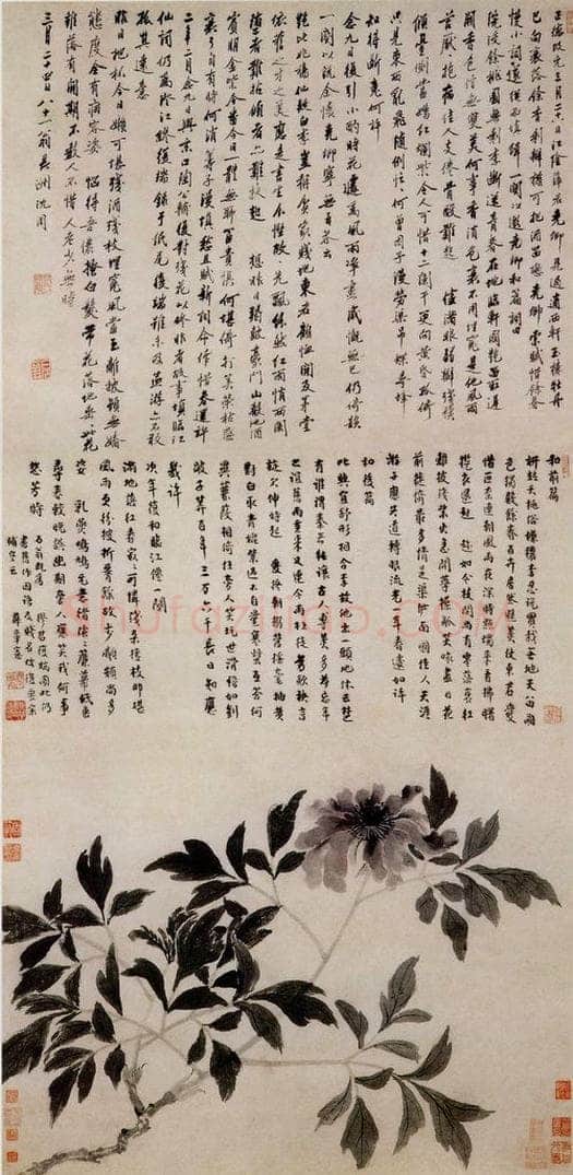 明 沈周 《牡丹图》 书画作品