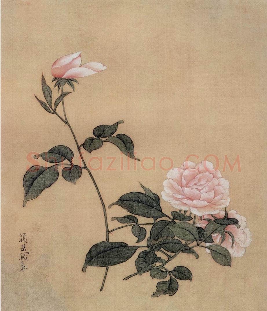 清 颜岳 《花鸟图册》 书画作品
