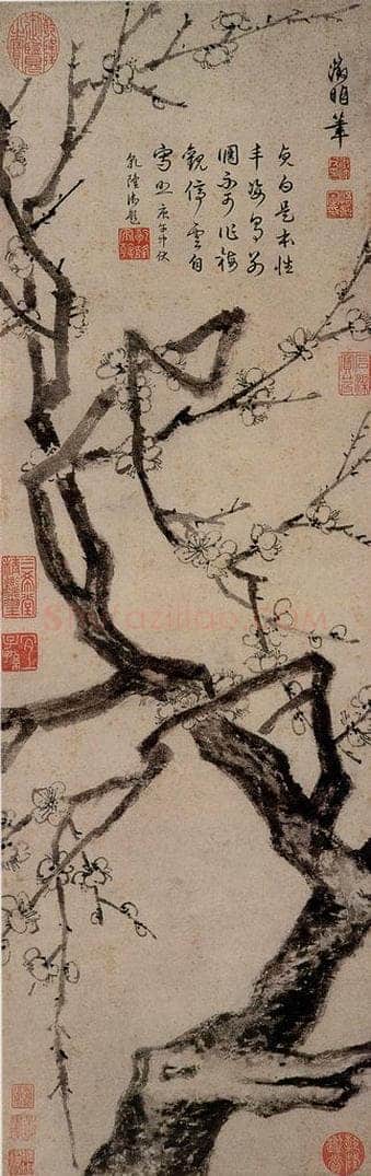 明 文徵明 《冰姿倩影图》 书画作品