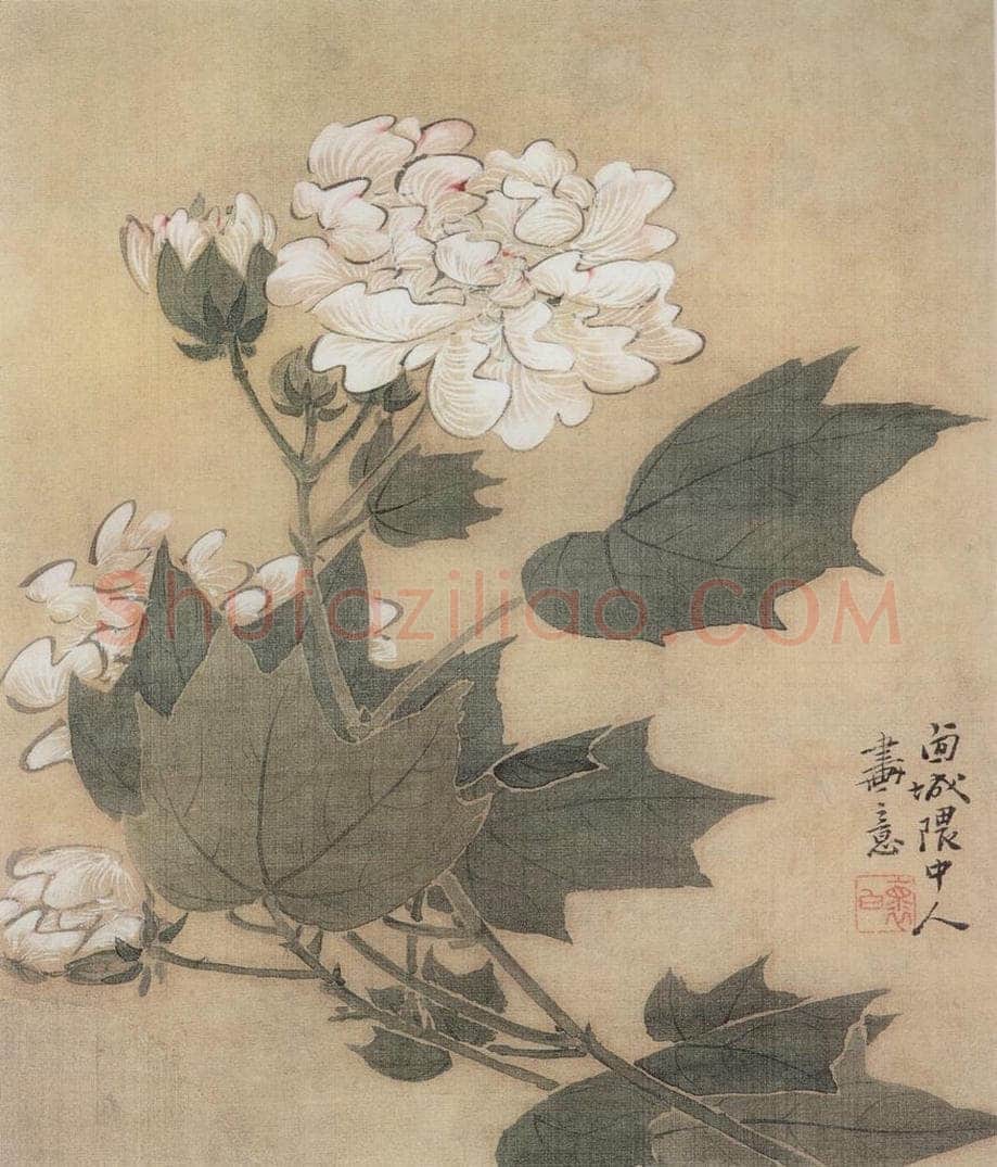 清 颜岳 《花鸟图册》 书画作品
