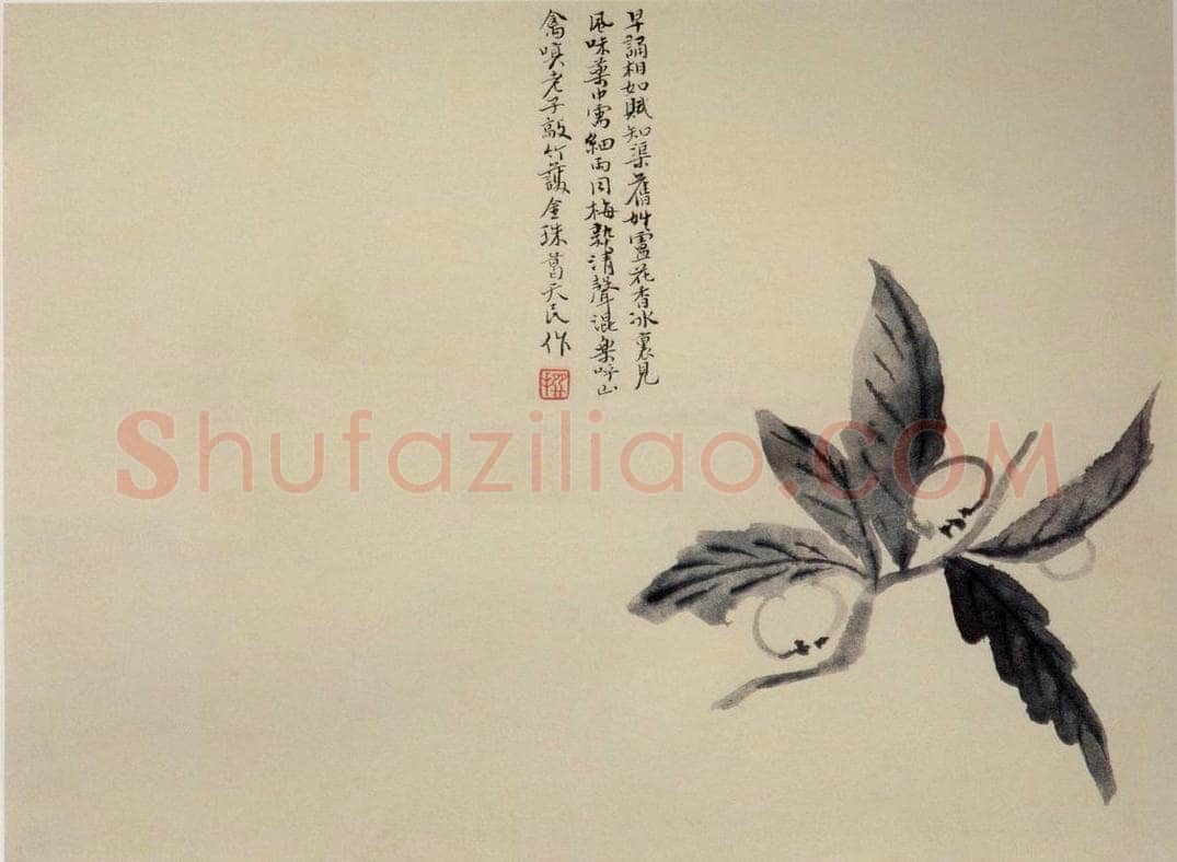 清 陈撰 《折枝花卉图册》 书画作品