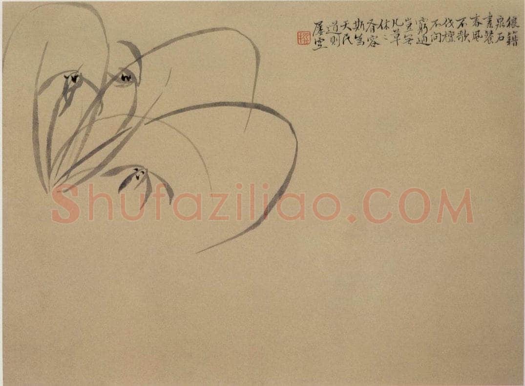 清 陈撰 《折枝花卉图册》 书画作品