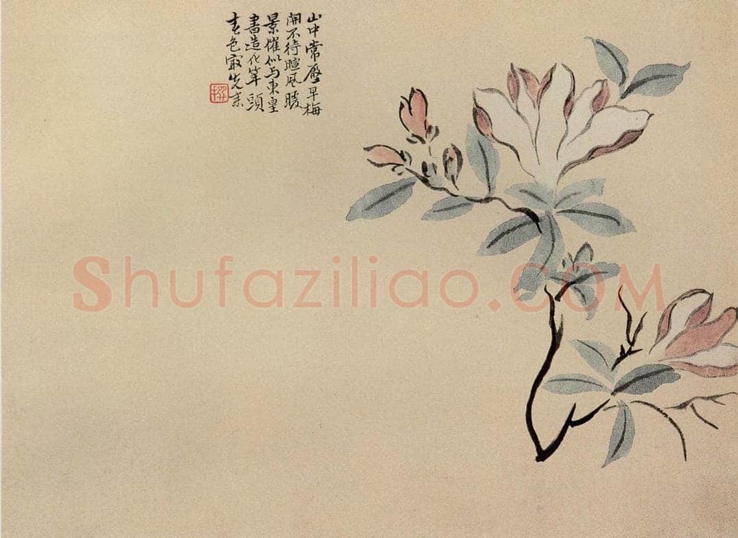 清 陈撰 《折枝花卉图册》 书画作品