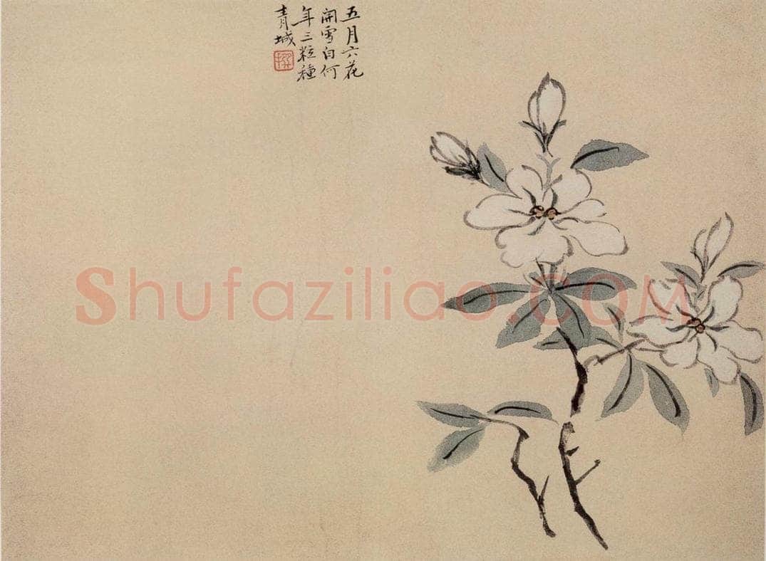 清 陈撰 《折枝花卉图册》 书画作品