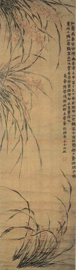 清 金农 《兰花图》 书画作品