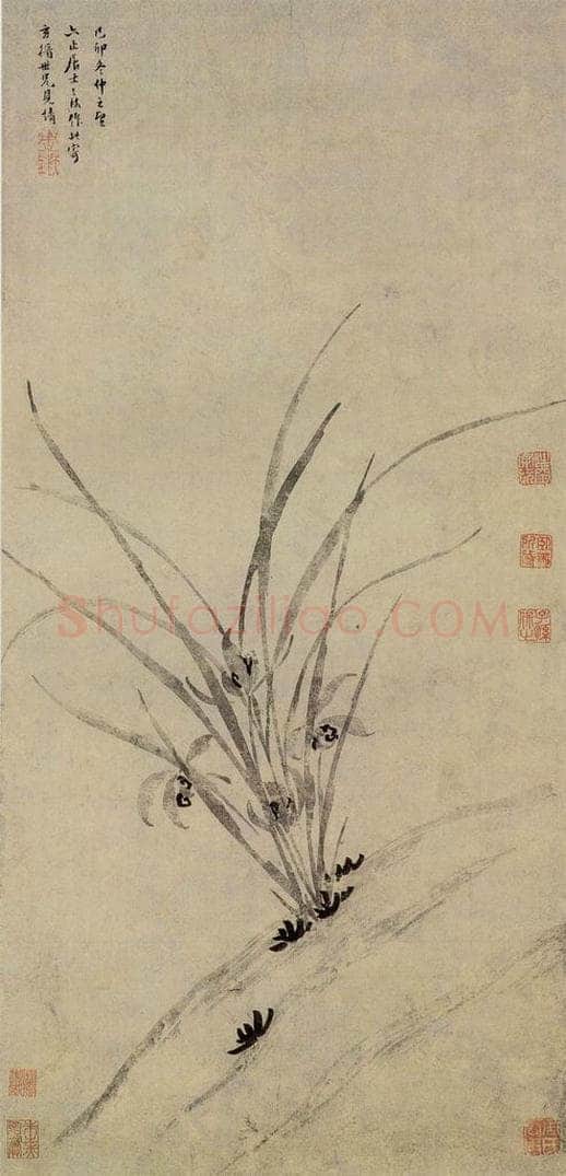明 周天球 《兰花图》 书画作品