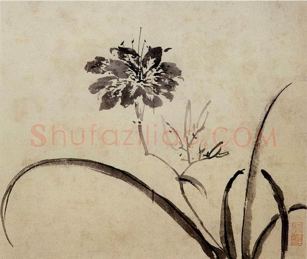明 周之冕 《花卉图册》 书画作品