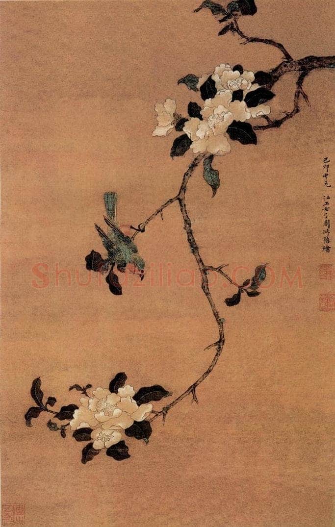 明 周淑禧 《茶花幽禽图》 书画作品
