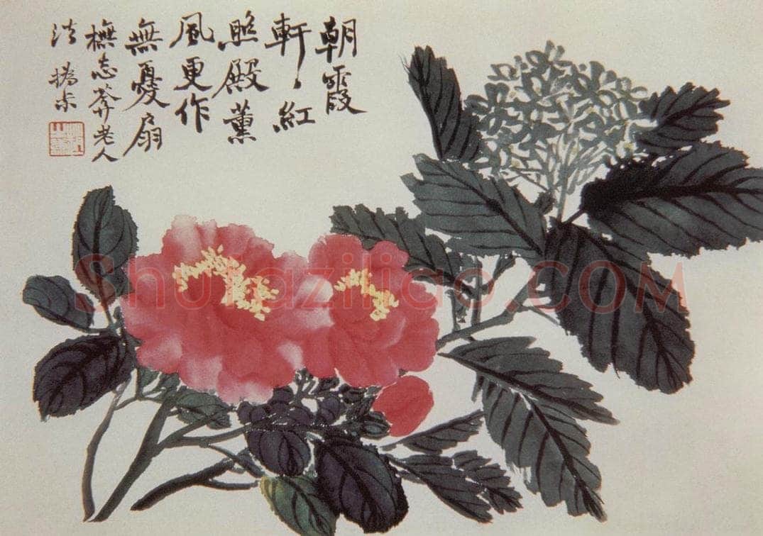 清 赵之谦 《蔬果花卉图册》 书画作品
