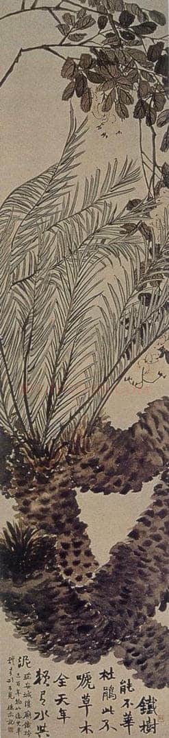 清 赵之谦 《铁树图》 书画作品