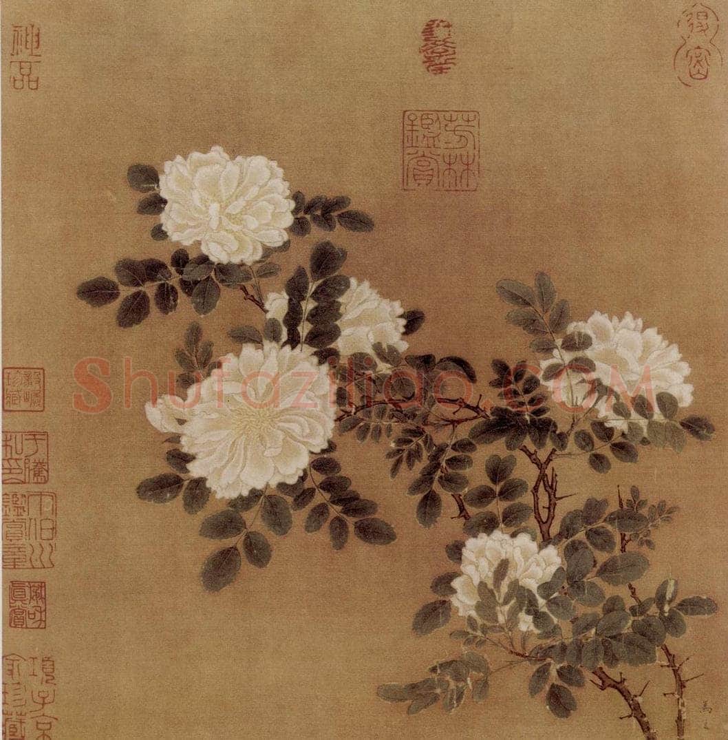 南宋 马远 《白蔷薇图》 书画作品