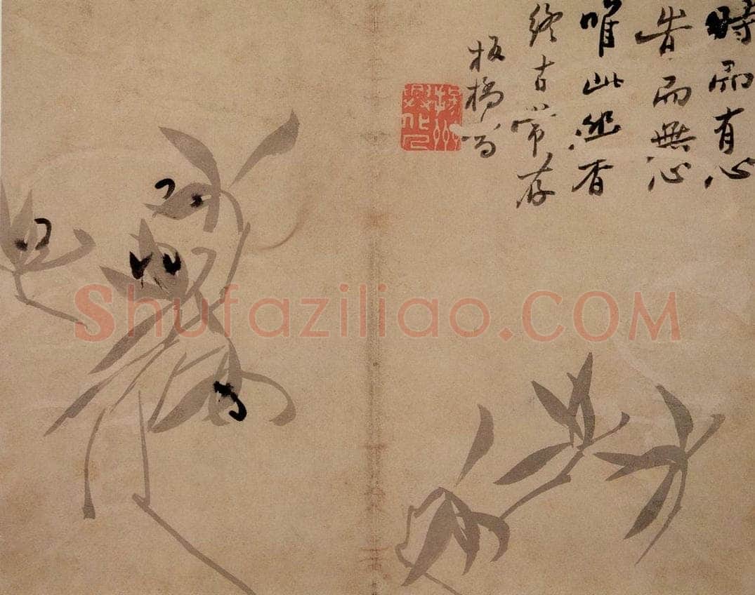  郑燮 兰竹 书画作品