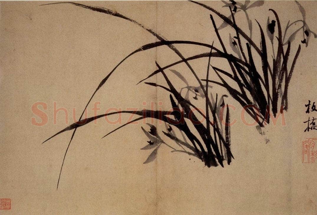 郑燮 兰竹册 书画作品
