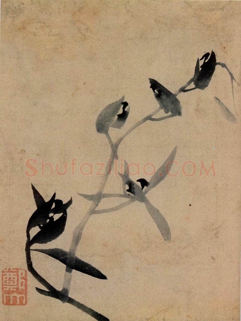 郑燮 兰花册 书画作品