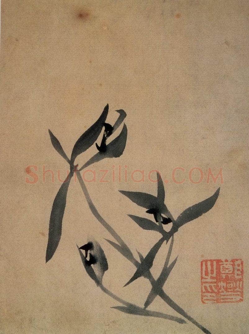 郑燮 兰花册 书画作品