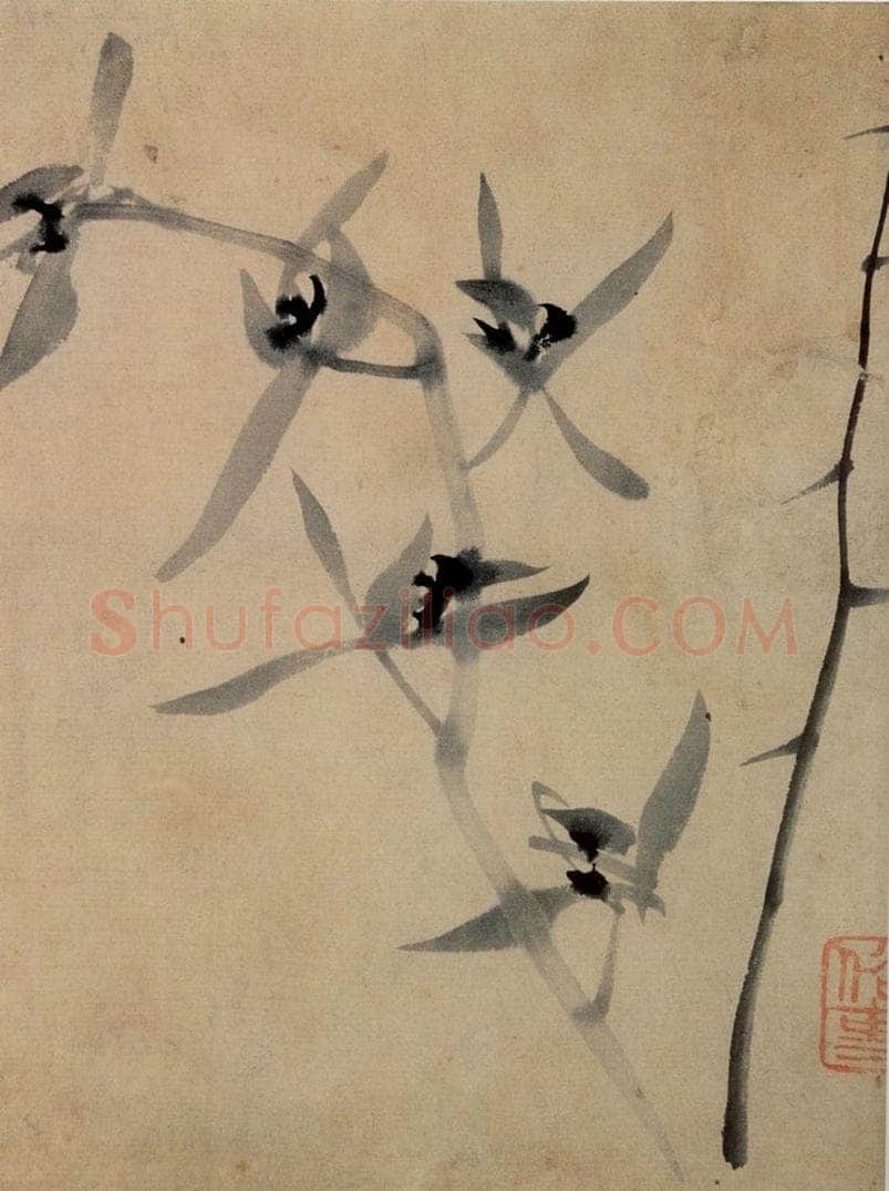 郑燮 兰花册 书画作品