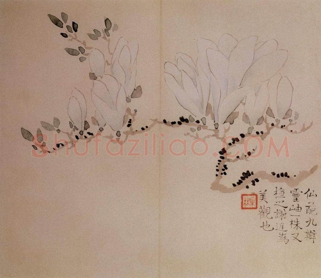 清 汪士慎 《花卉册》 书画作品