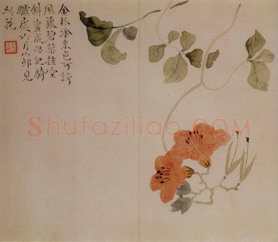 清 汪士慎 《花卉册》 书画作品