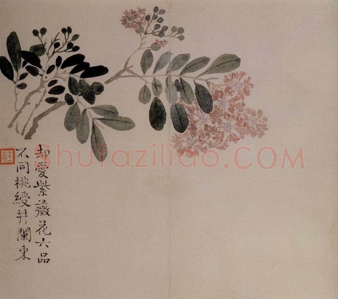 清 汪士慎 《花卉册》 书画作品