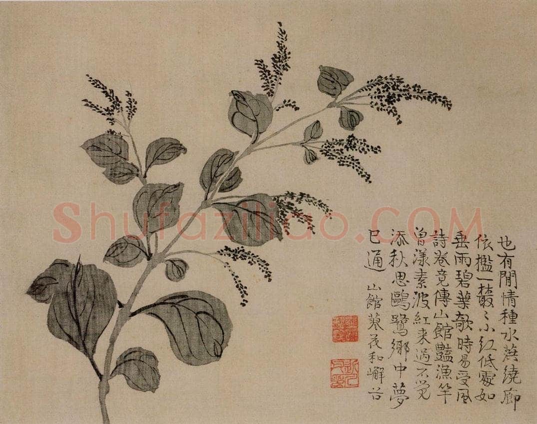 清 汪士慎 《花卉册》 书画作品