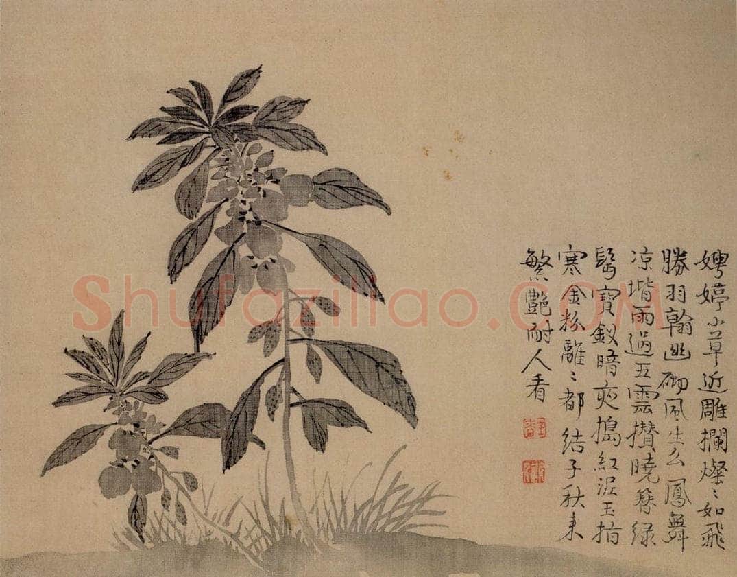 清 汪士慎 《花卉册》 书画作品