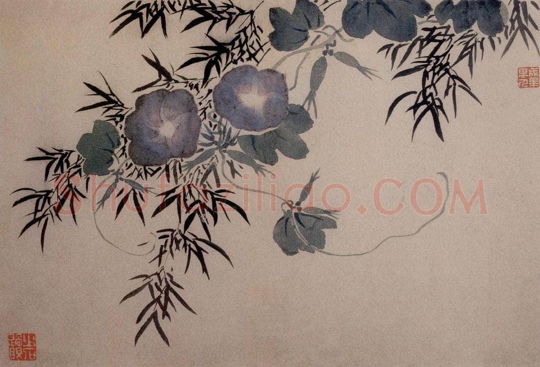 1742年 汪士慎 《花卉册》 书画作品