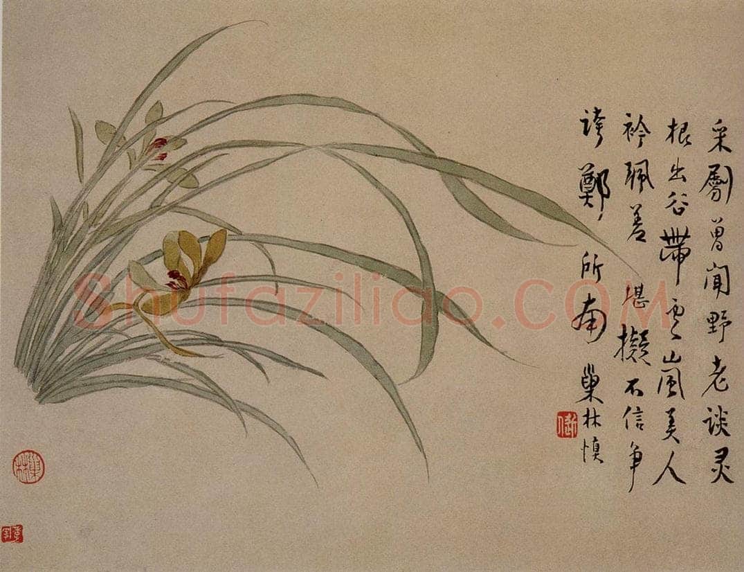 1749年 汪士慎 《花卉册》 书画作品
