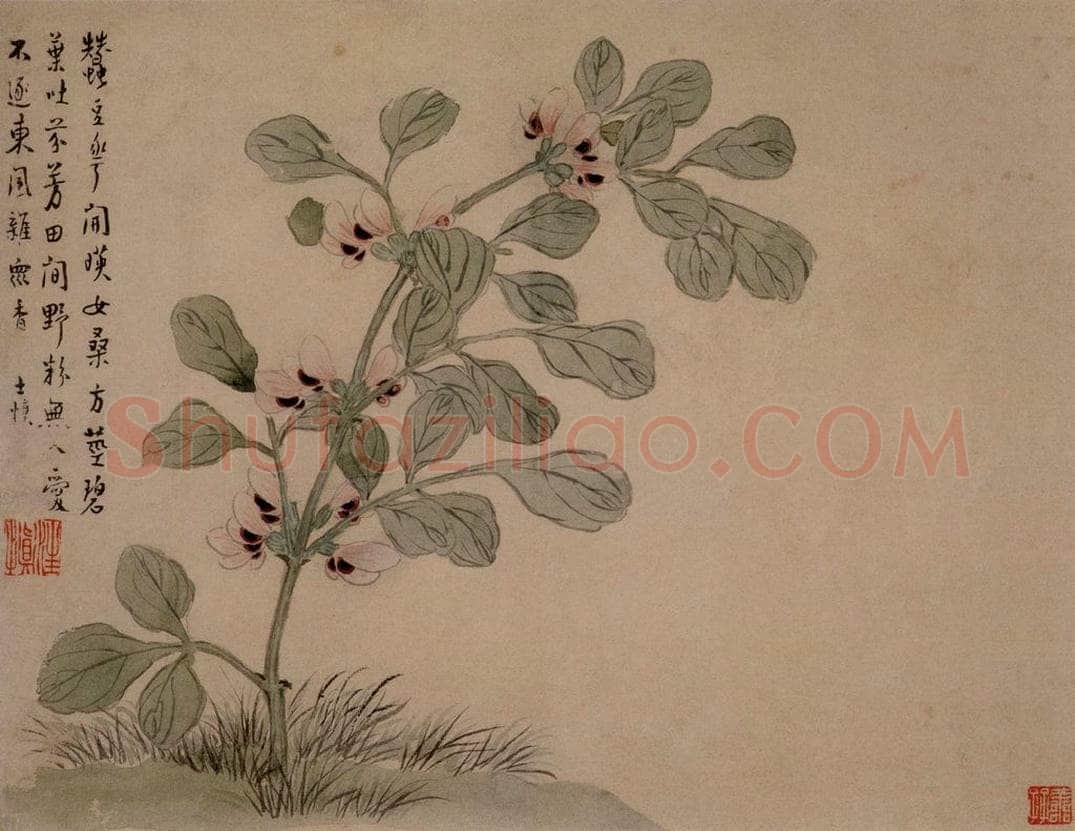 1749年 汪士慎 《花卉册》 书画作品