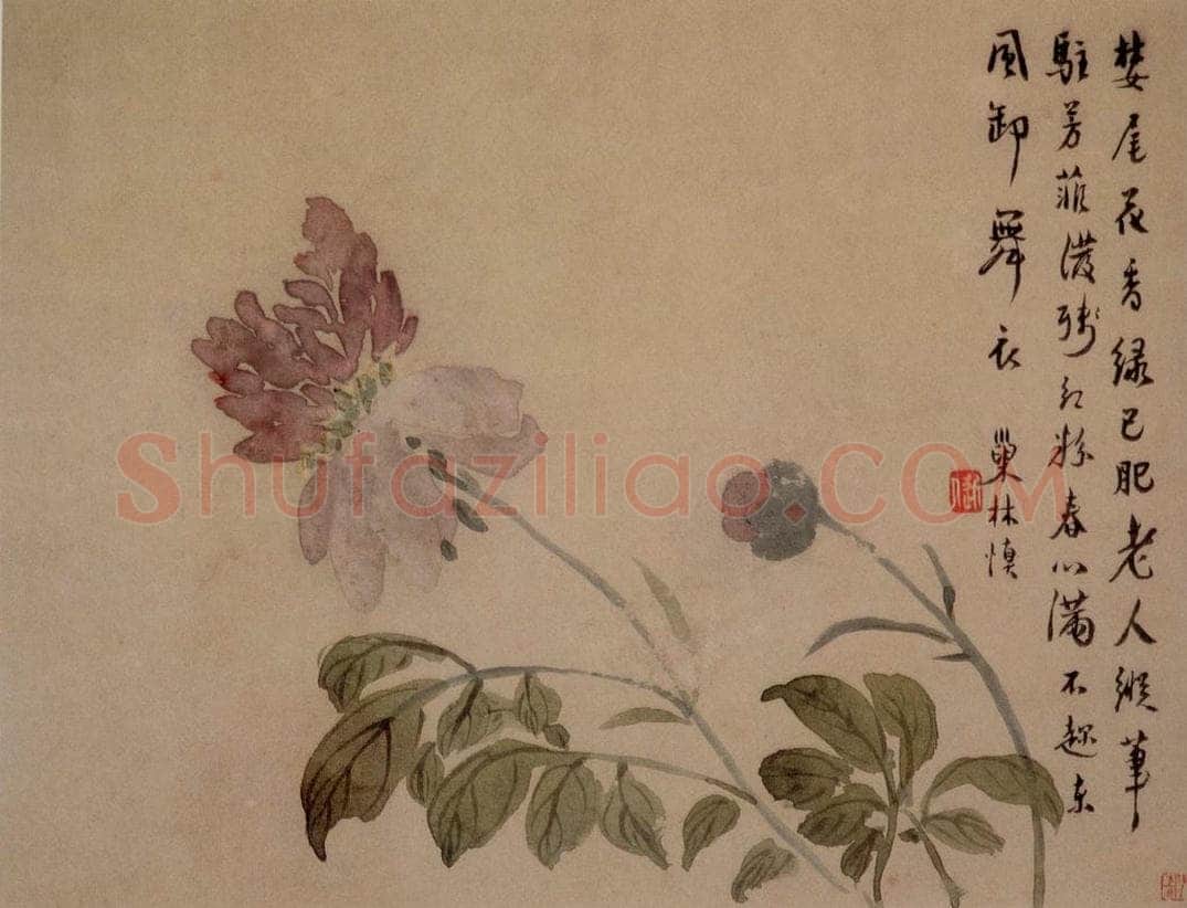 1749年 汪士慎 《花卉册》 书画作品