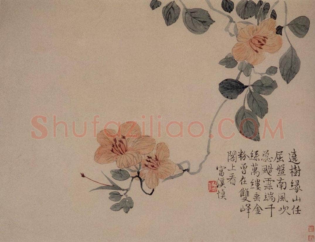 1749年 汪士慎 《花卉册》 书画作品