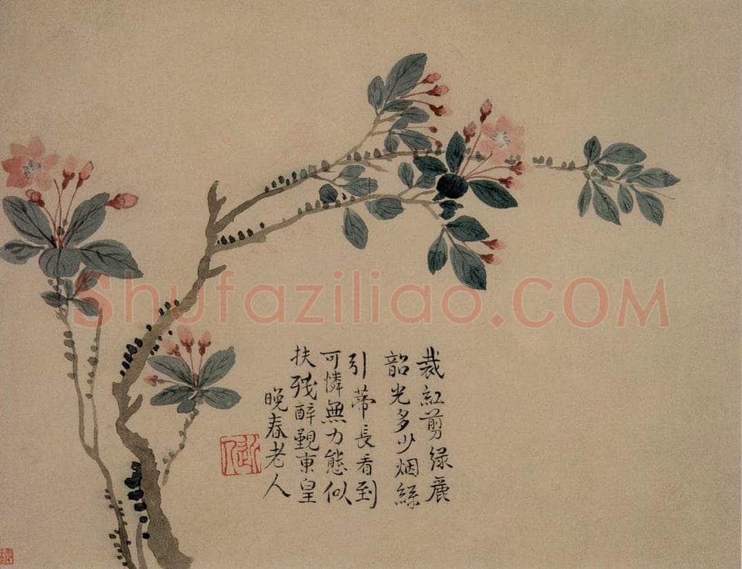 1749年 汪士慎 《花卉册》 书画作品