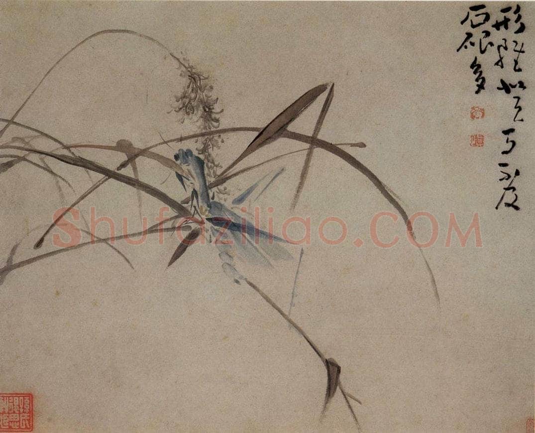 清 黄慎 花鸟草丛册 书画作品