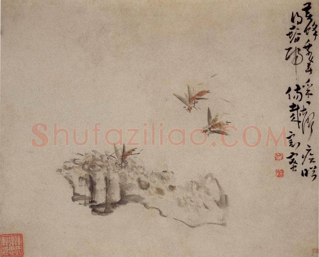 清 黄慎 花鸟草丛册 书画作品