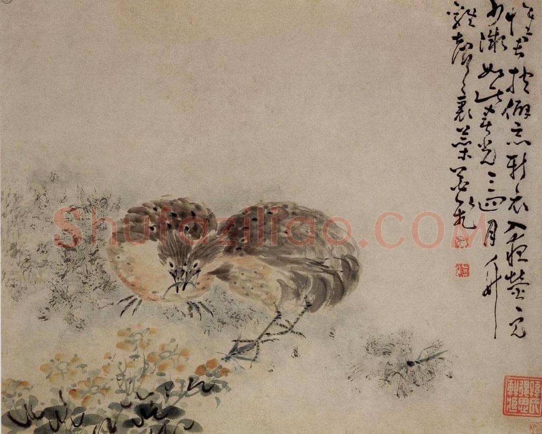 清 黄慎 花鸟草丛册 书画作品